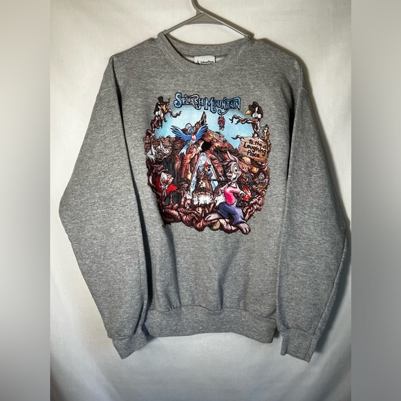Hanes Disneyland Disney Parks Splash Mountain Grey  Crewneck Size S - Picture 2 of 10